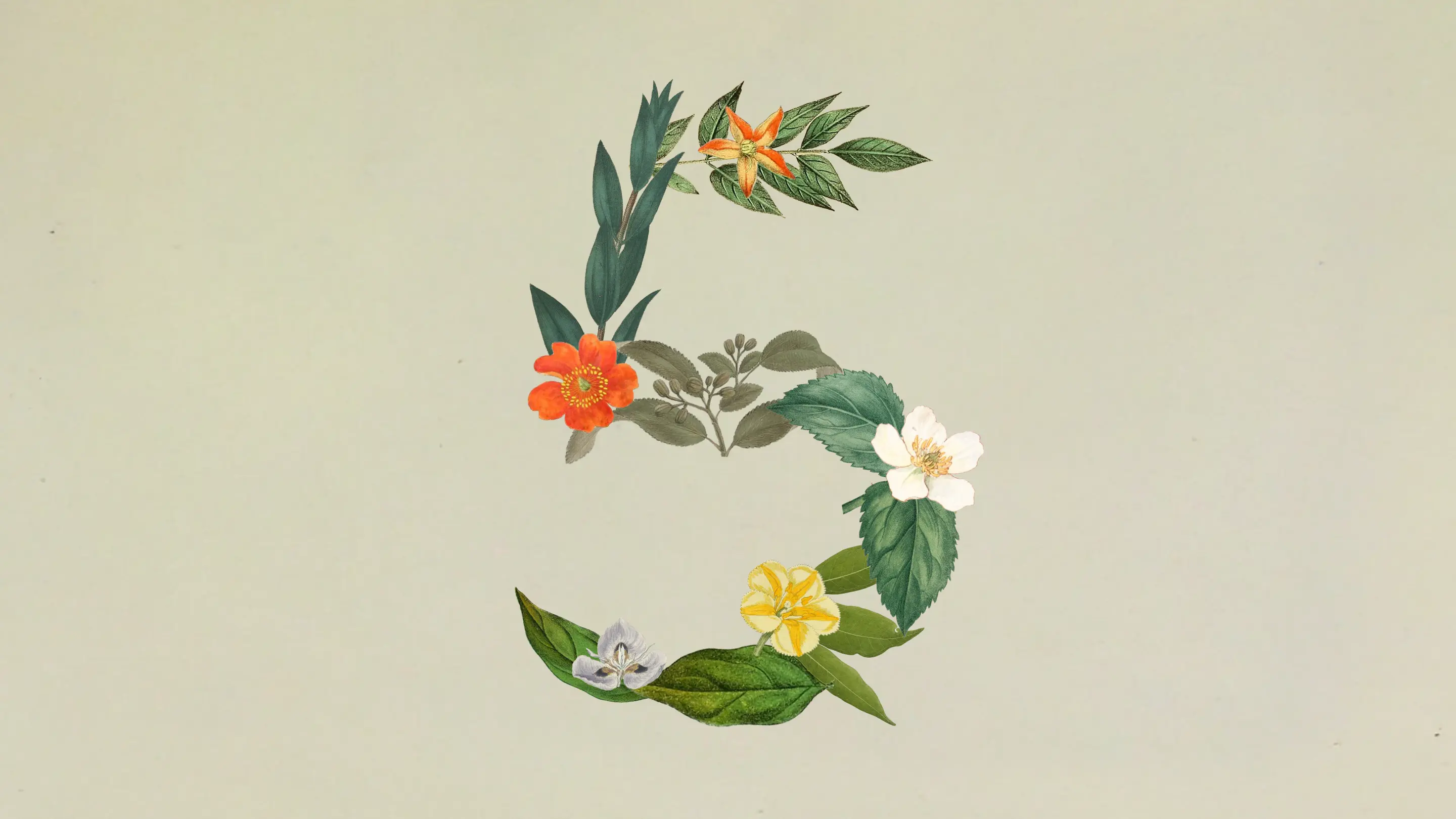 Anthropic 核心主力模型的最新迭代 Claude Sonnet 5 全面介绍