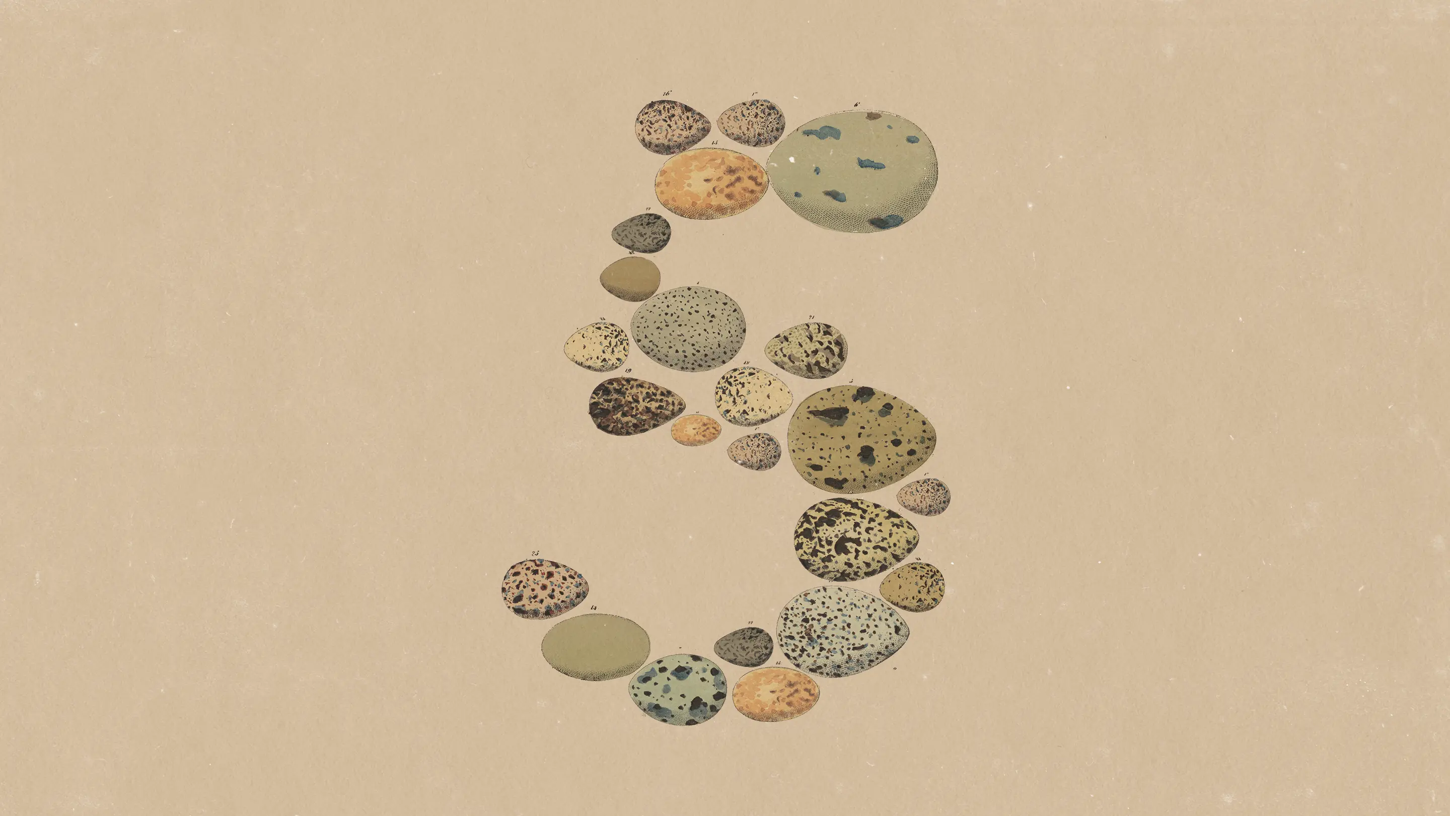 Anthropic 发布 Claude Opus 5