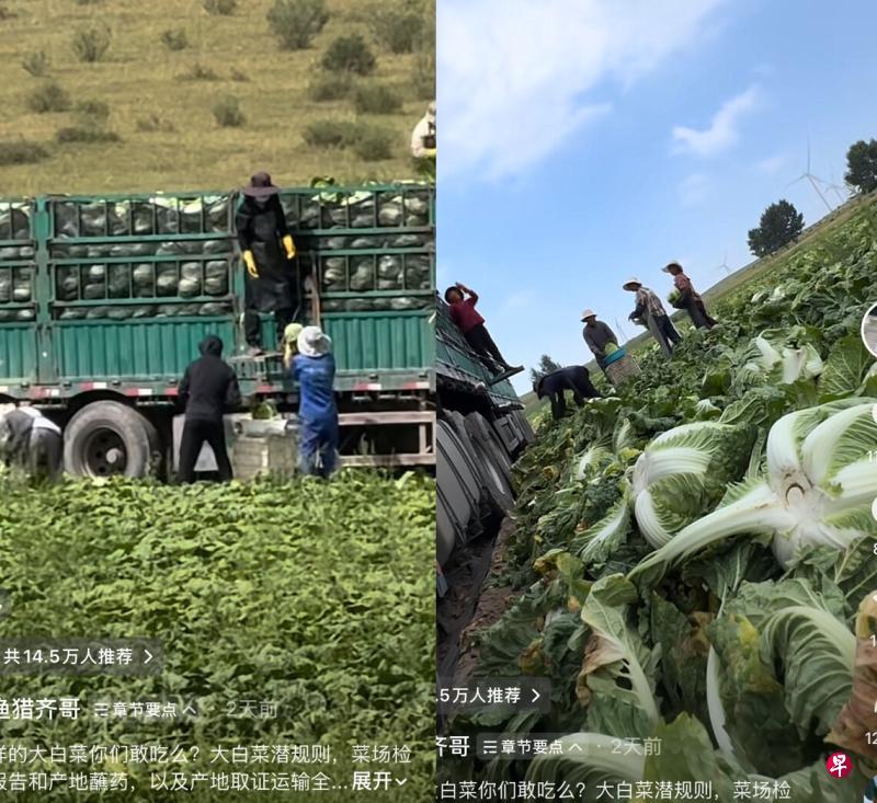 自媒体博主“渔猎齐哥”上星期六（8月22日）发布暗访视频，曝光中国河北张家口一白菜主要产区用甲醛溶液蘸白菜根以达到保鲜目的。官方已证实视频内容并介入调查。（“渔猎齐哥”抖音账号截图）